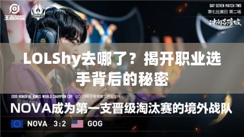 LOLShy去哪了？揭開職業(yè)選手背后的秘密