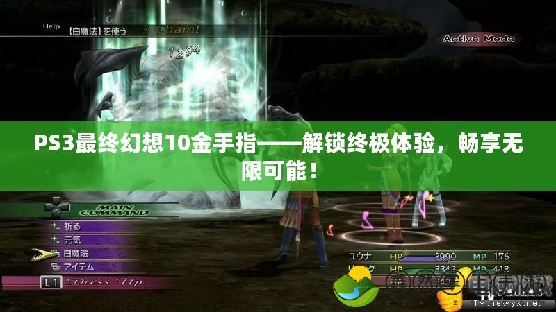 PS3最終幻想10金手指——解鎖終極體驗(yàn)，暢享無(wú)限可能！