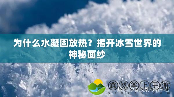 為什么水凝固放熱？揭開冰雪世界的神秘面紗