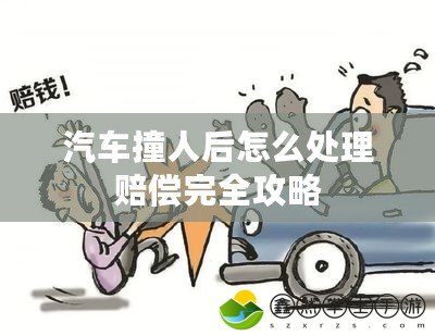 汽車撞人后怎么處理賠償完全攻略