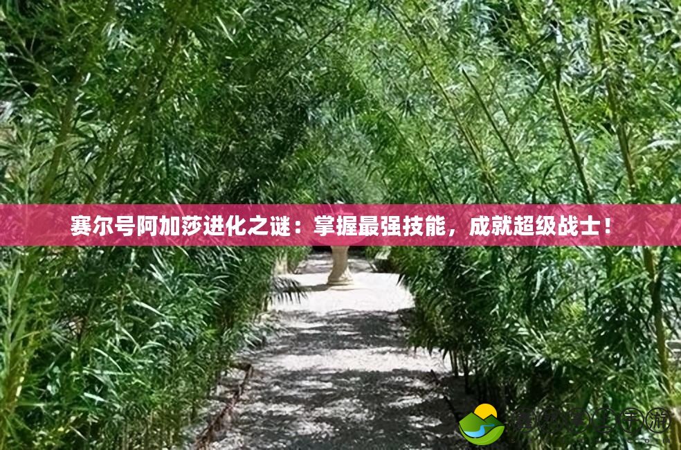 賽爾號阿加莎進化之謎：掌握最強技能，成就超級戰(zhàn)士！