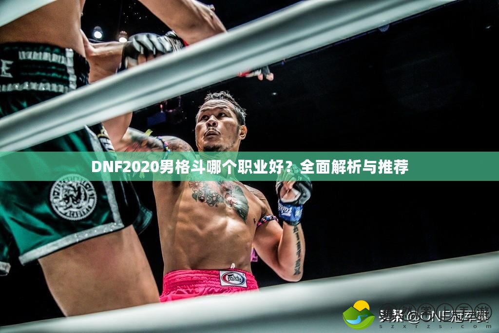 DNF2020男格斗哪個(gè)職業(yè)好？全面解析與推薦