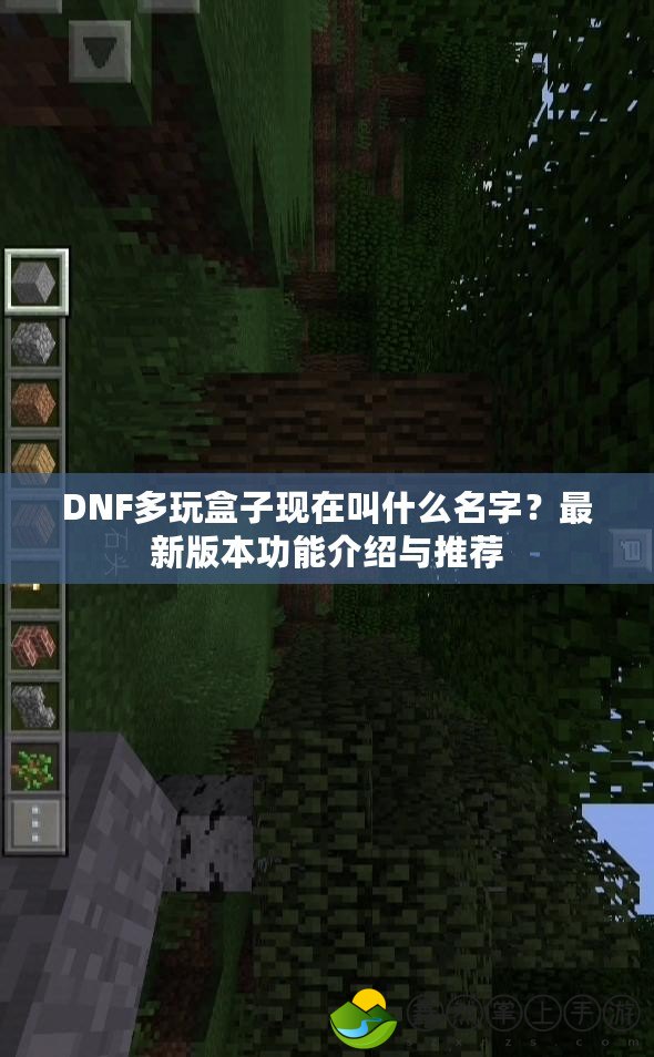 DNF多玩盒子現(xiàn)在叫什么名字？最新版本功能介紹與推薦