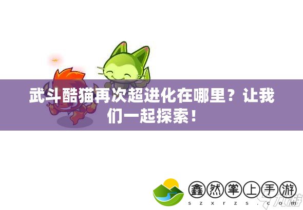 武斗酷貓再次超進化在哪里？讓我們一起探索！