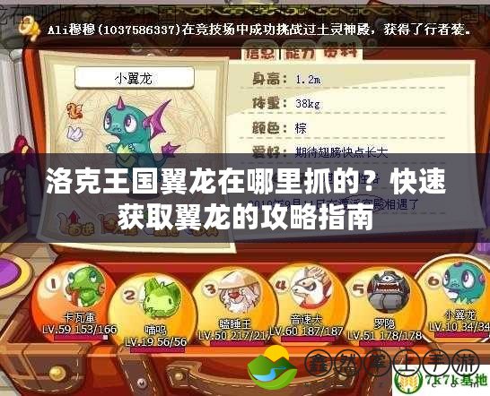 洛克王國翼龍在哪里抓的？快速獲取翼龍的攻略指南