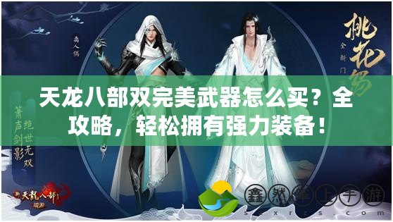 天龍八部雙完美武器怎么買？全攻略，輕松擁有強(qiáng)力裝備！