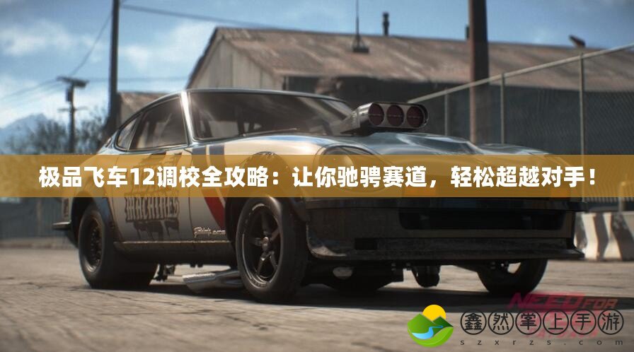 極品飛車12調(diào)校全攻略：讓你馳騁賽道，輕松超越對(duì)手！