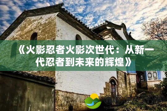 《火影忍者火影次世代：從新一代忍者到未來的輝煌》