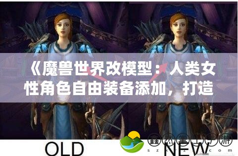 《魔獸世界改模型：人類女性角色自由裝備添加，打造專屬于你的英雄》