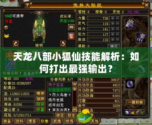 天龍八部小狐仙技能解析：如何打出最強輸出？