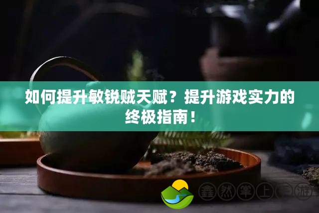 如何提升敏銳賊天賦？提升游戲?qū)嵙Φ慕K極指南！