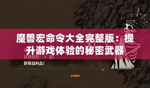 魔獸宏命令大全完整版：提升游戲體驗(yàn)的秘密武器