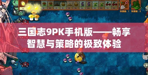 三國志9PK手機(jī)版——暢享智慧與策略的極致體驗(yàn)