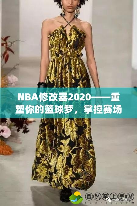 NBA修改器2020——重塑你的籃球夢，掌控賽場的勝利法寶