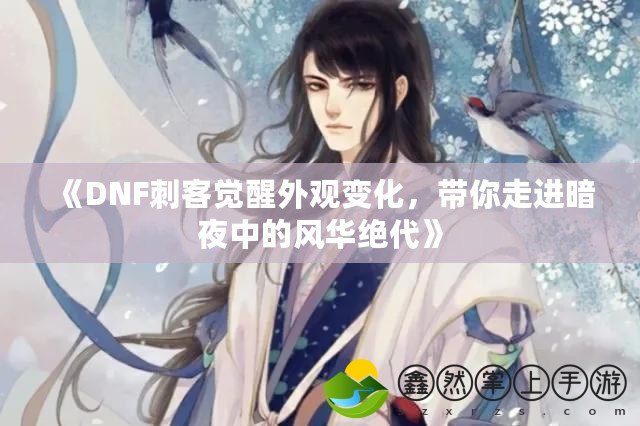 《DNF刺客覺醒外觀變化，帶你走進(jìn)暗夜中的風(fēng)華絕代》