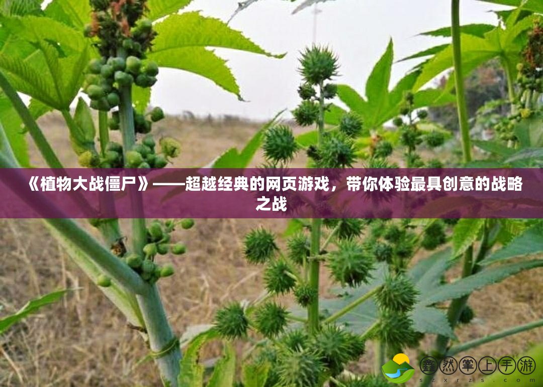 《植物大戰(zhàn)僵尸》——超越經(jīng)典的網(wǎng)頁游戲，帶你體驗(yàn)最具創(chuàng)意的戰(zhàn)略之戰(zhàn)