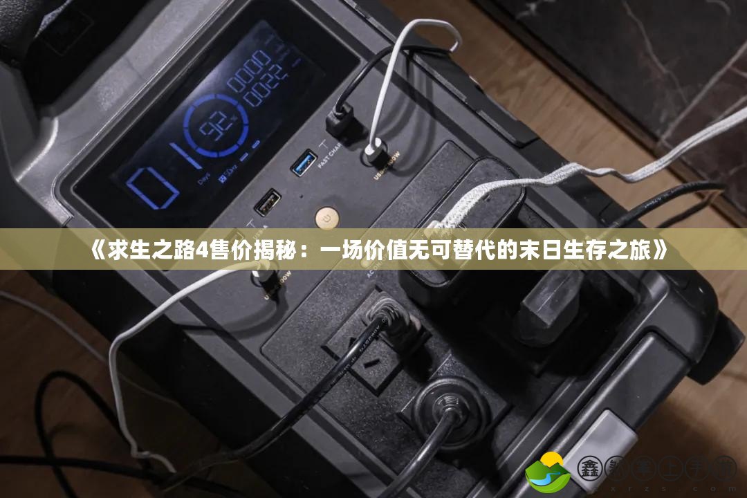 《求生之路4售價揭秘：一場價值無可替代的末日生存之旅》