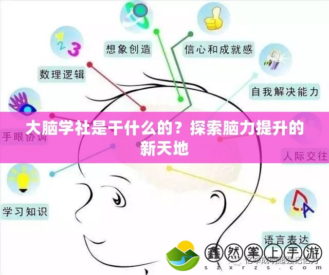 大腦學(xué)社是干什么的？探索腦力提升的新天地