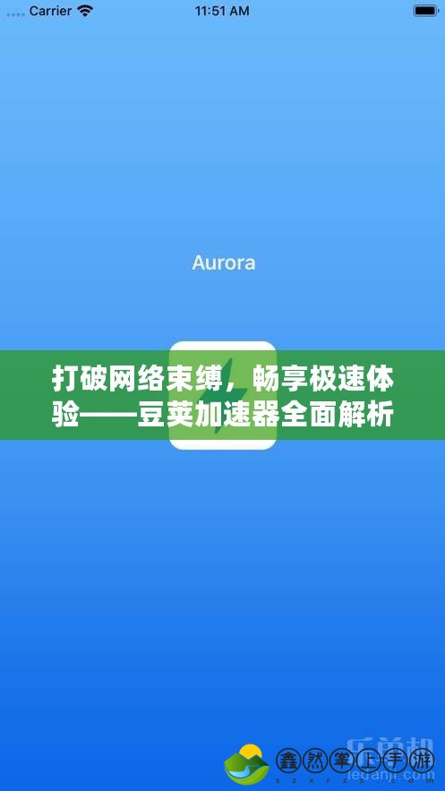 打破網絡束縛，暢享極速體驗——豆莢加速器全面解析